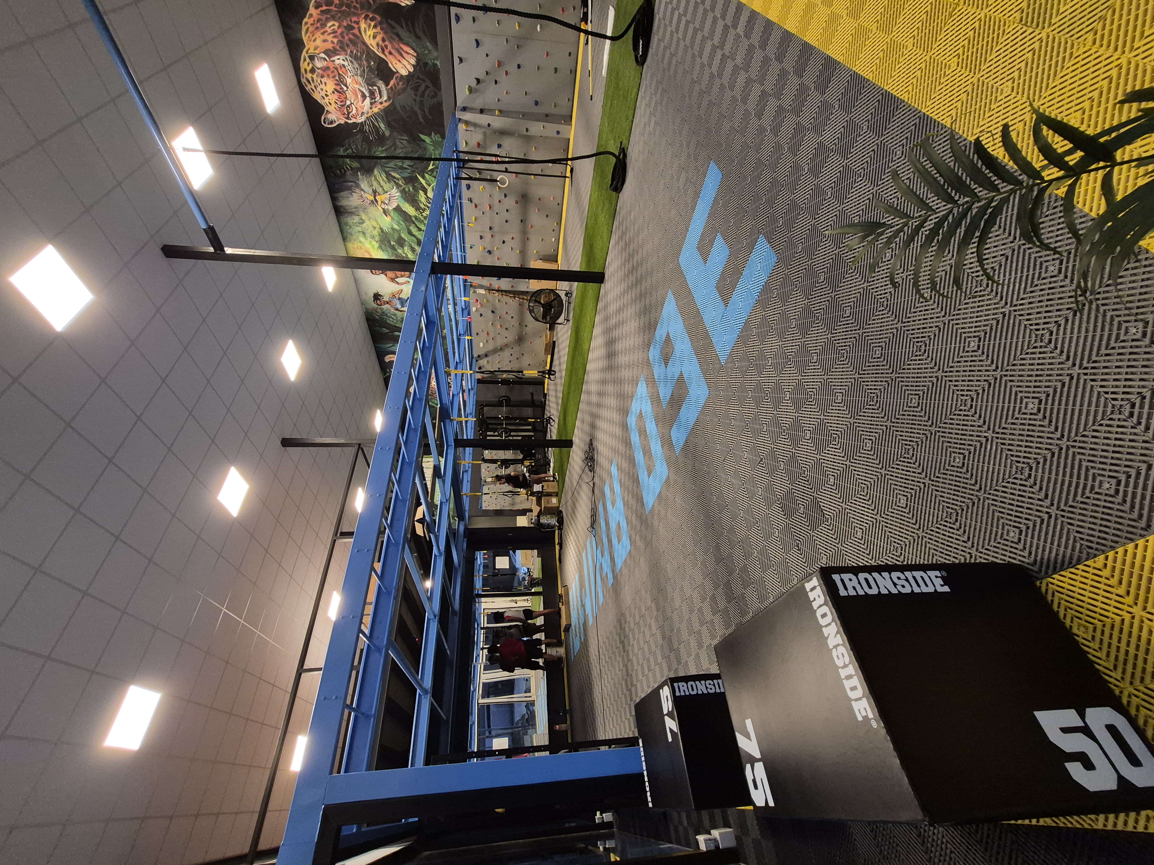 Waterbag y kettlebells Ironside en 360ANIMAL