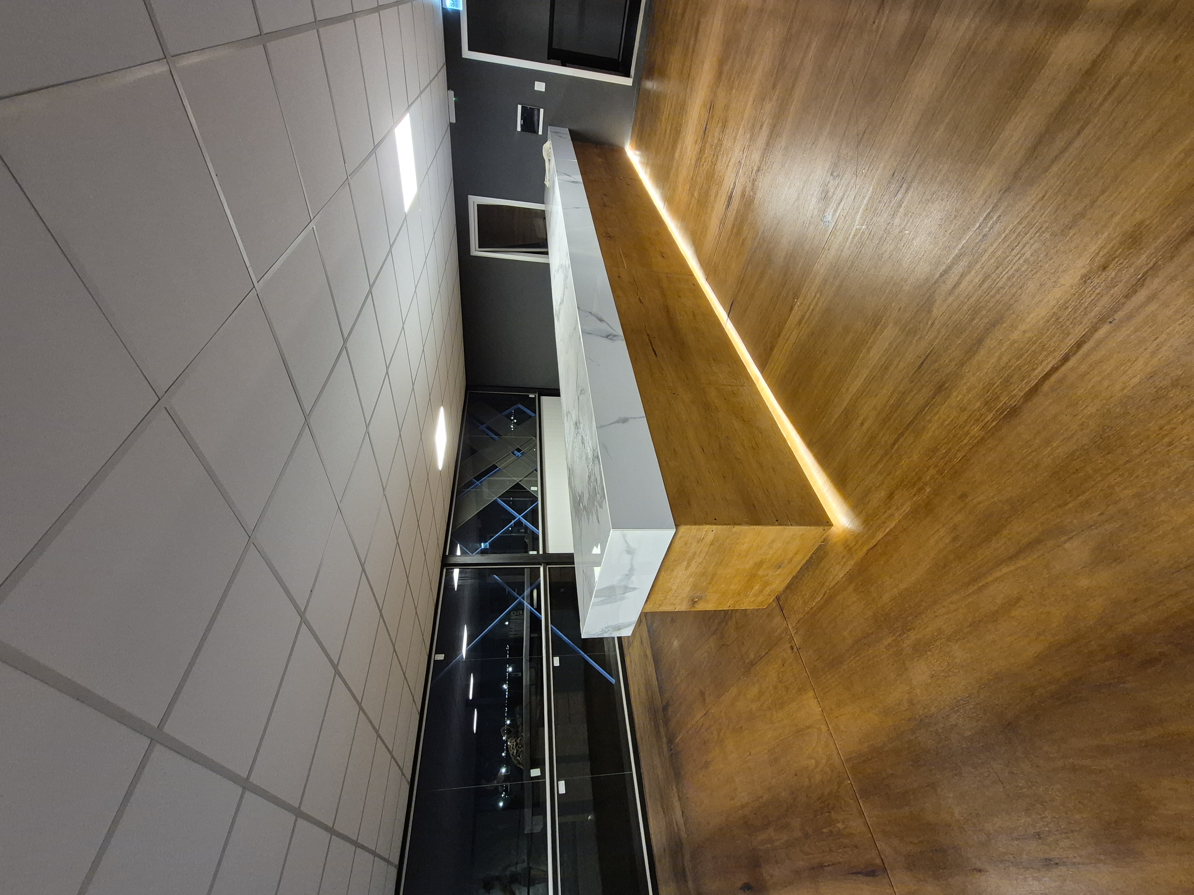 Discos Ironside de competición primer plano